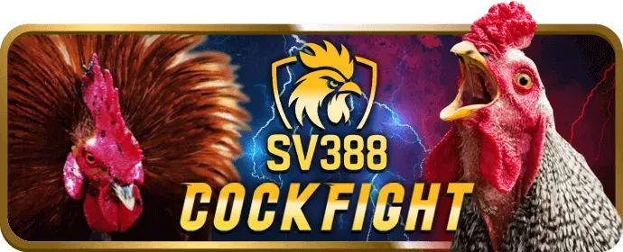 Đá Gà Cựa Sắt tại 79King2