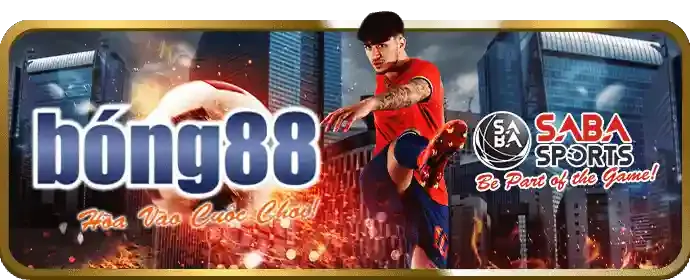 Trực tiếp đá gà HD